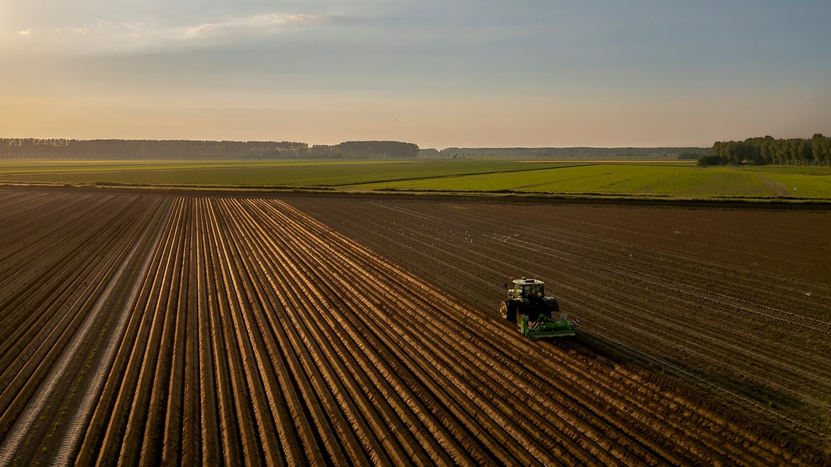 Agriculture