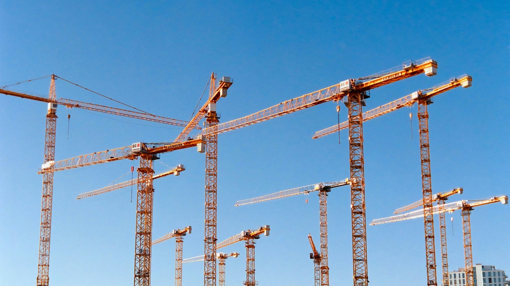 Cranes